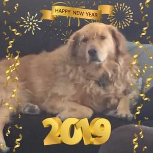 Meet your Posher, Patty